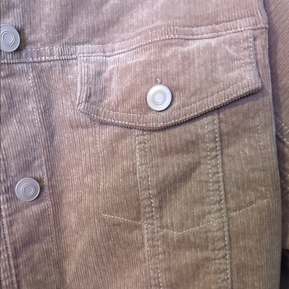 Windsor Beige Corduroy Cropped Jacket - Picture 3 of 7